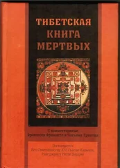 Франческа Фримантл - Тибетская книга мертвых