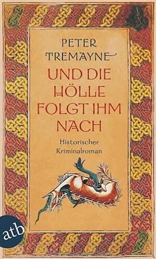 Peter Tremayne Und die Hölle folgte ihm nach обложка книги