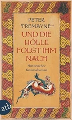 Peter Tremayne - Und die Hölle folgte ihm nach
