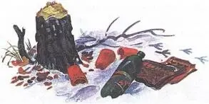НА ПРОГУЛКЕ С СОБАКОЙ У многих людей есть свои домашний четвероногий друг - фото 69