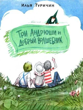 Илья Туричин Три Андрюши и Добрый Волшебник обложка книги