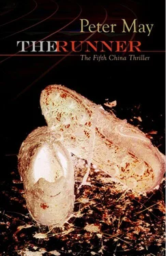 Peter May The Runner обложка книги