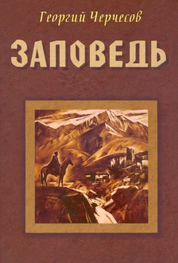 Неизвестный Автор Георгий Черчесов обложка книги