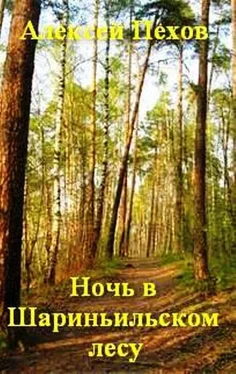 Алексей ПЕХОВ Ночь в Шариньильском лесу обложка книги