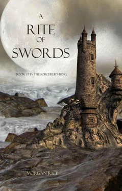 Morgan Rice A Rite of Swords обложка книги