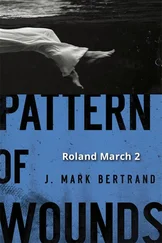 J. Bertrand - Pattern of Wounds