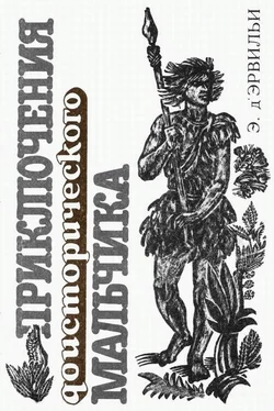 Э. д'Эрвильи Приключения доисторического мальчика обложка книги