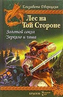 Елизавета Дворецкая Зеркало и чаша обложка книги