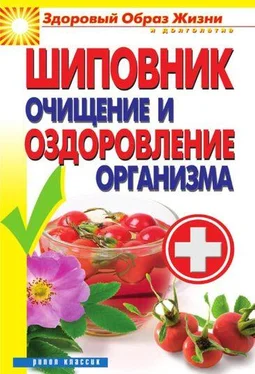 Виктор Зайцев Шиповник. Очищение и оздоровление организма обложка книги