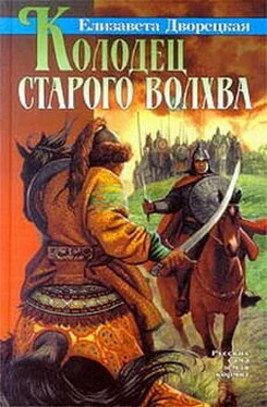 Елизавета Дворецкая Колодец старого волхва обложка книги