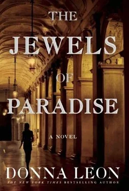 Donna Leon The Jewels of Paradise обложка книги