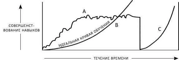 График правильного хода обучения Кривая C самая важная ведь она - фото 1