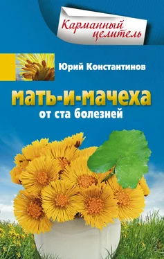 Юрий Константинов Мать-и-мачеха от ста болезней обложка книги