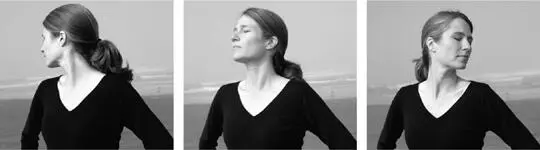 Figure 27 a Move your head from side to side rotating it from shoulder to - фото 15