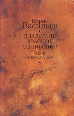 Борис Васильев Князь Святослав. Владимир Красное Солнышко обложка книги