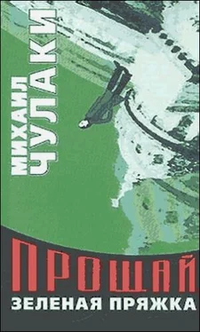 Михаил Чулаки Прощай, зеленая Пряжка обложка книги