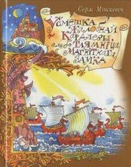 Серж Мінскевіч - Усмешка жалобнай каралевы, альбо тайна магнітнага замка