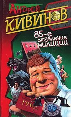 Андрей Кивинов Попутчики обложка книги