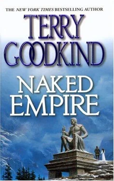 Terry Goodkind Naked Empire обложка книги