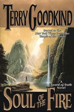 Terry Goodkind Soul of the Fire обложка книги