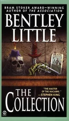 Бентли Литтл - Жужжащая обитель мух