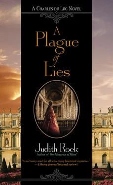 Judith Rock Plague of Lies обложка книги