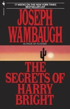 Joseph Wambaugh The Secrets of Harry Bright