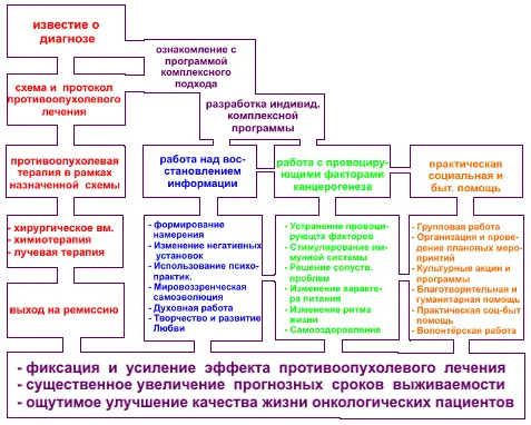 Существует три основных направления использования комплементарных средств в - фото 3