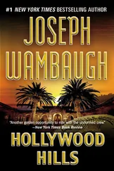 Joseph Wambaugh - Hollywood Hills