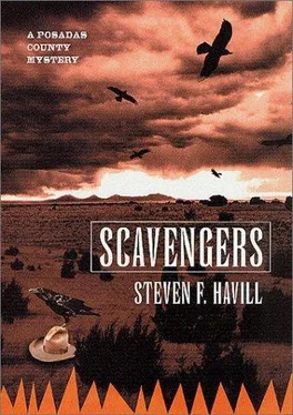 Steven Havill Scavengers