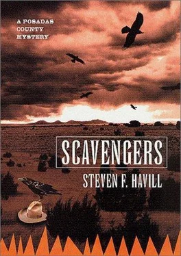 Steven Havill Scavengers обложка книги