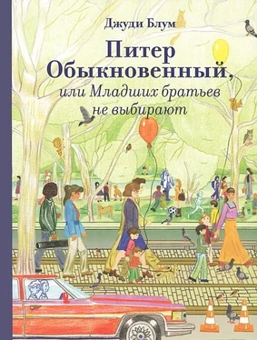 Джуди Блум Питер Обыкновенный, или Младших братьев не выбирают обложка книги