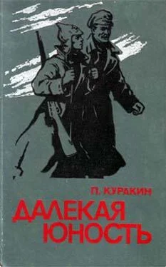 Петр Куракин Далекая юность обложка книги