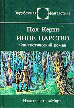 Пол Керни Иное царство обложка книги