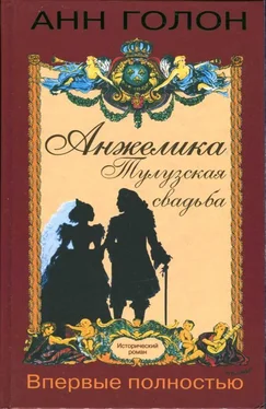 Анна Голон Анжелика. Тулузская свадьба обложка книги