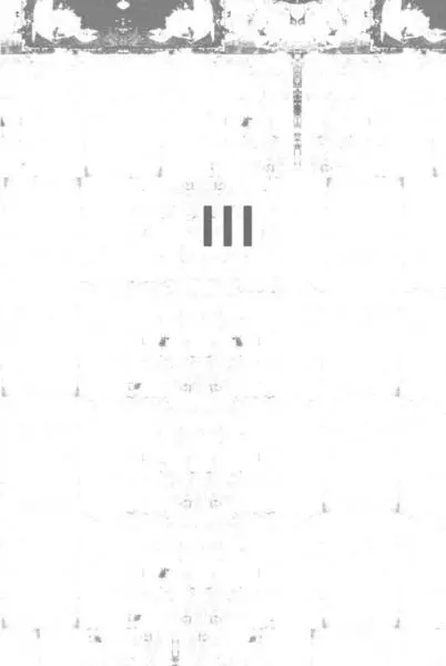 27 IT WAS A SPECTACLE AND difficult not to watch Out across the gulf the - фото 4