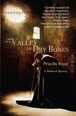 Priscilla Royal Valley of Dry Bones обложка книги