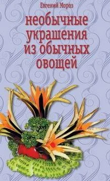 Евгений Мороз Необычные украшения из обычных овощей обложка книги