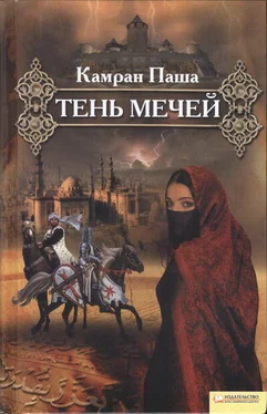 Камран Паша Тень мечей обложка книги