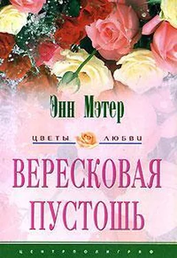 Энн Мэтер Вересковая пустошь обложка книги