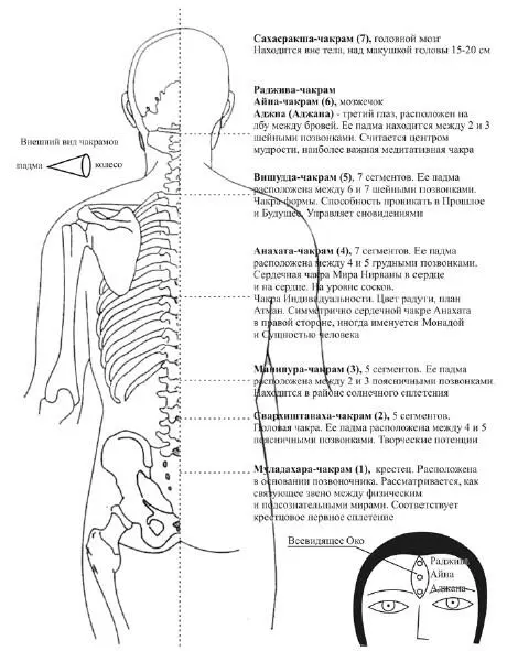 Уровни Информационных Полей Сущий Человека Земли Так устремлен Дух в - фото 1