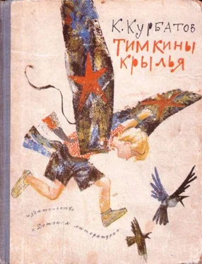 Константин Курбатов Тимкины крылья обложка книги