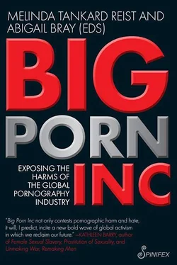 Melinda Reist Big Porn Inc обложка книги