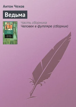 Антон Чехов Ведьма обложка книги