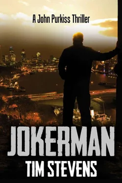 Tim Stevens Jokerman обложка книги