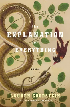 Lauren Grodstein The Explanation for Everything обложка книги