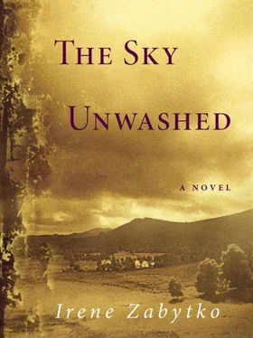 Irene Zabytko The Sky Unwashed обложка книги