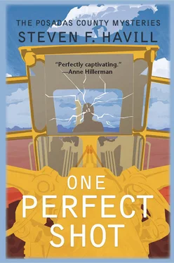 Steven Havill One Perfect Shot обложка книги