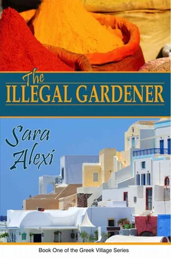 Sara Alexi The Illegal Gardener обложка книги