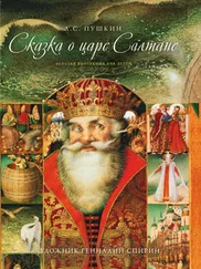 Александр Пушкин - Сказка о царе Салтане, о сыне его славном и могучем богатыре Гвидоне Салтановиче и о прекрасной царевне Лебеди. Том V